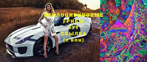 MDMA Premium VHQ Медвежьегорск